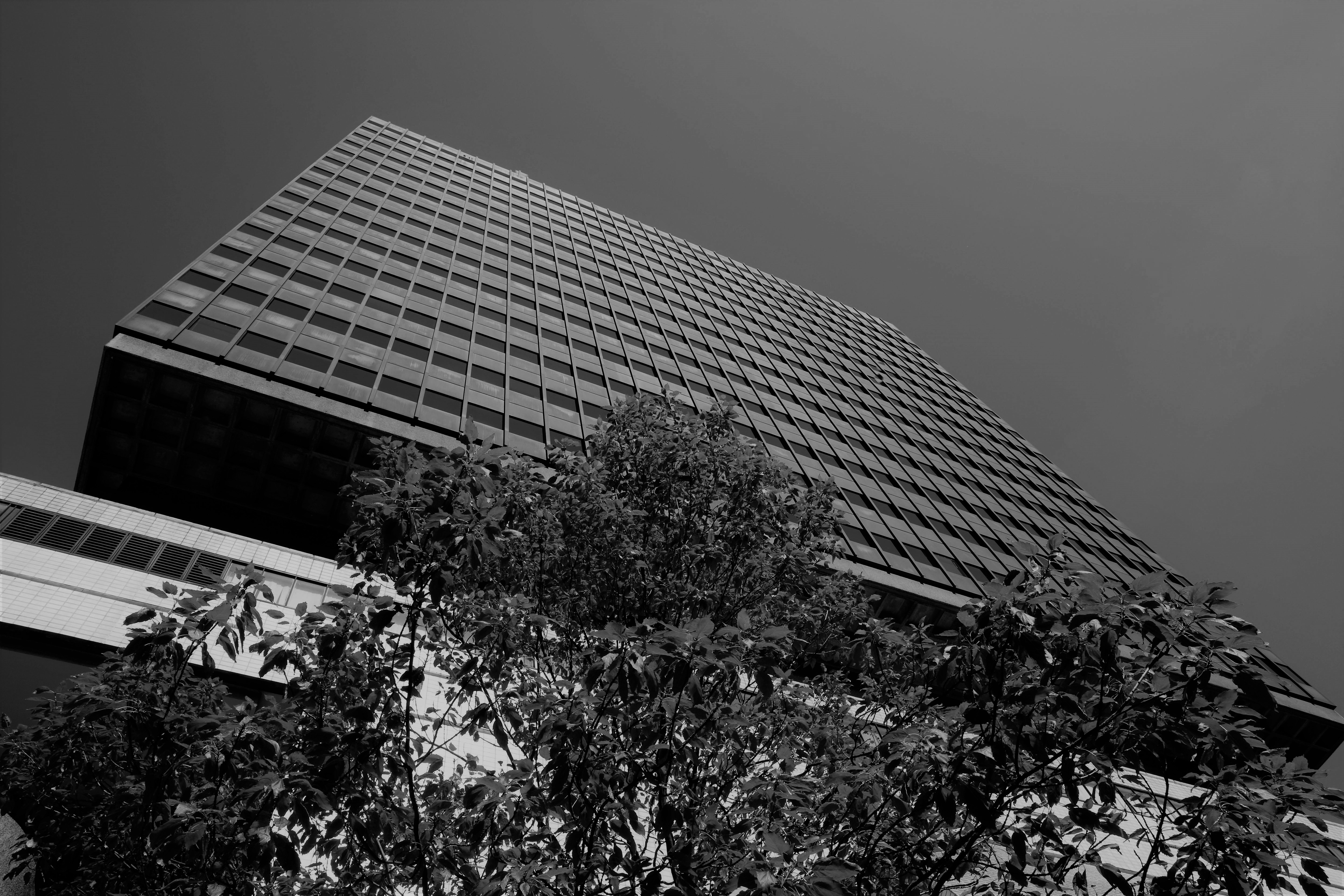 Black and white photo of a tall modern building with a grid-like facade, viewed from below with trees in the foreground.
