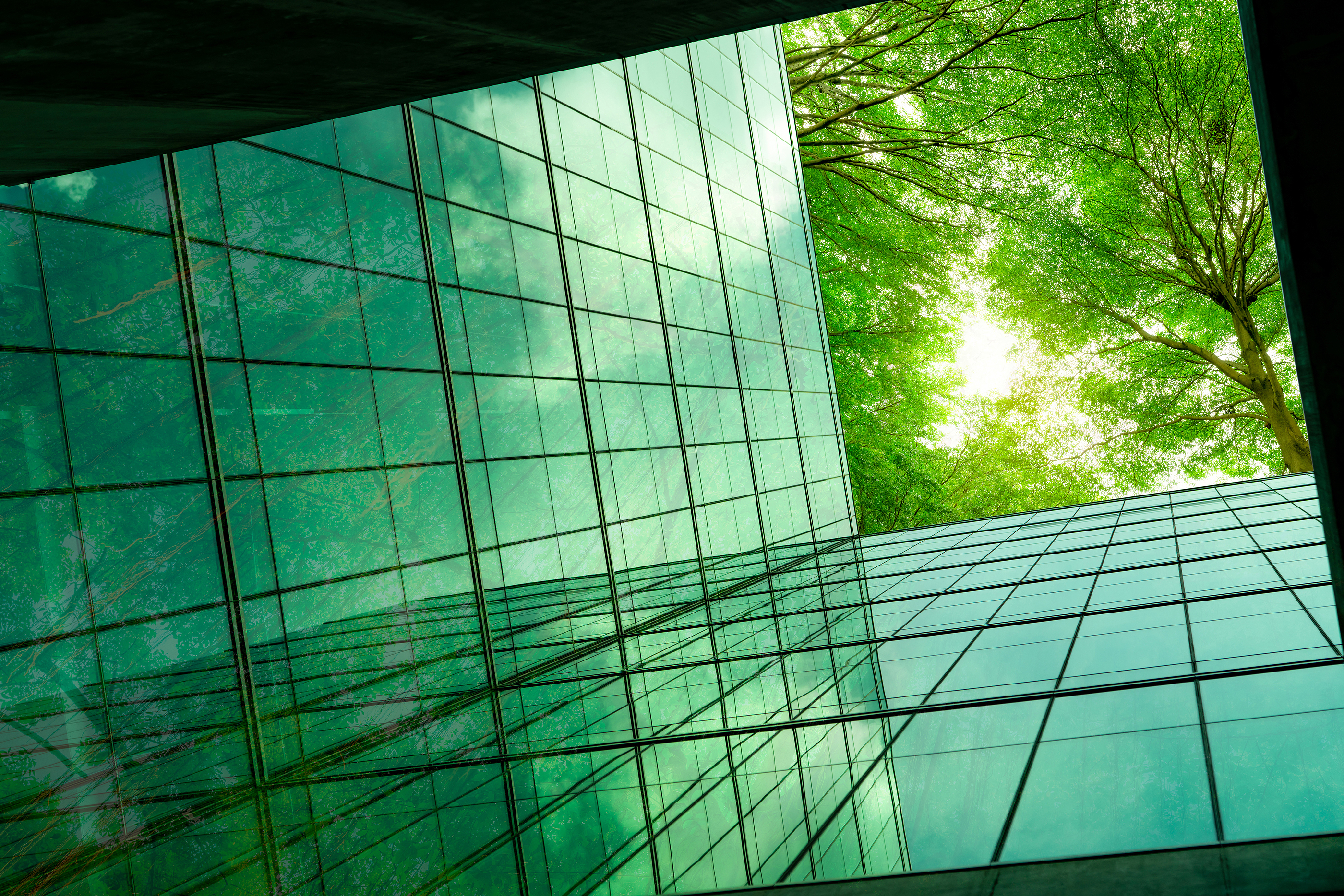 Glass building exterior reflecting nearby trees, with greenery visible above